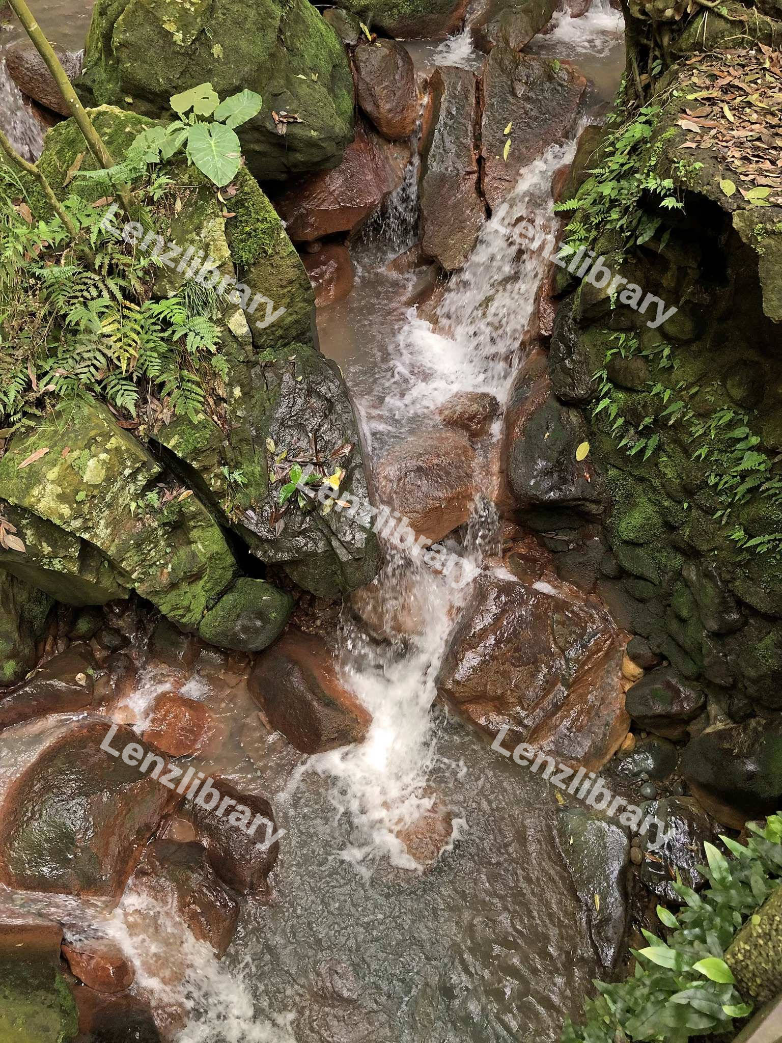 Waterfall in the woods